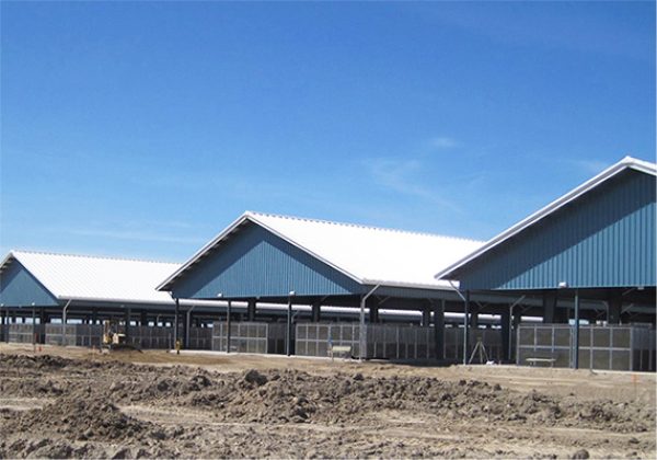 Essa & District Agricultural Society Barns industrial project